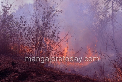 fire 1